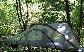 Tente Suspendue Au Coeur De La Foret